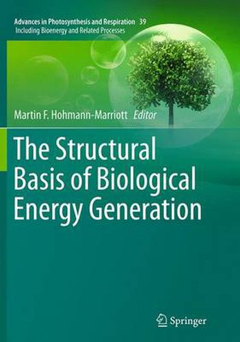 Cover image for The Structural Basis of Biological Energy Generation