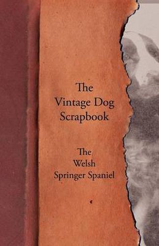 Cover image for The Vintage Dog Scrapbook - The Welsh Springer Spaniel