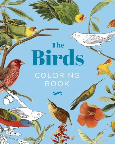 Cover image for The Birds Coloring Book