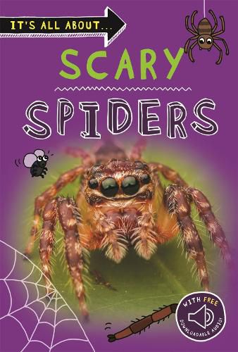 Cover image for It's All About... Scary Spiders