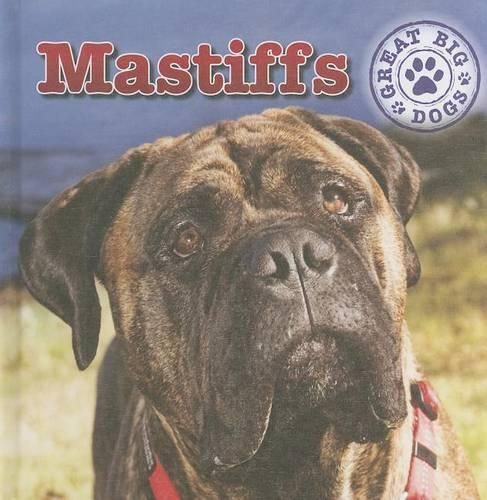 Mastiffs