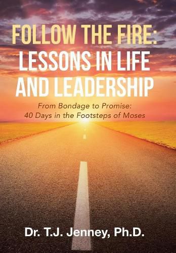 Cover image for Follow the Fire: Lessons in Life and Leadership: From Bondage to Promise: 40 Days in the Footsteps of Moses