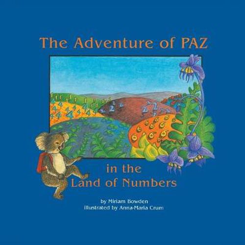 Cover image for The Adventure of Paz in the Land of Numbers