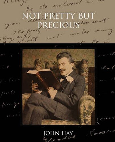 Cover image for Not Pretty But Precious