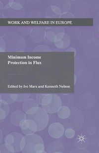 Cover image for Minimum Income Protection in Flux