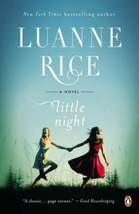 Cover image for Little Night: A Novel
