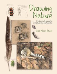 Cover image for Drawing Nature