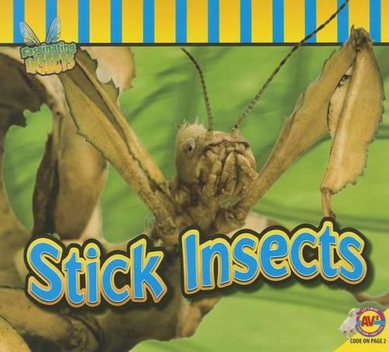 Cover image for Stick Insects