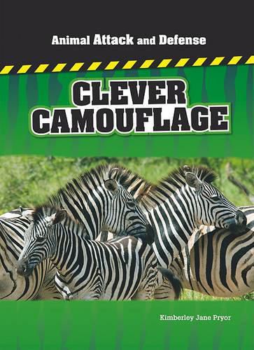 Cover image for Us Aa&D Clever Camouflage