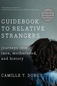 Cover image for Guidebook to Relative Strangers: Journeys into Race, Motherhood, and History