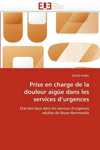 Cover image for Prise En Charge de La Douleur Aigue Dans Les Services D'Urgences