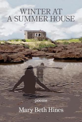 Cover image for Winter at a Summer House