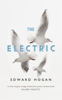 Cover image for The Electric