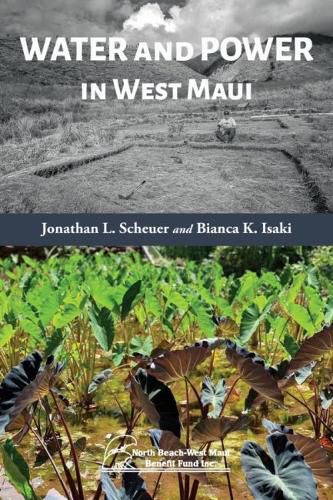 Cover image for Water and Power in West Maui