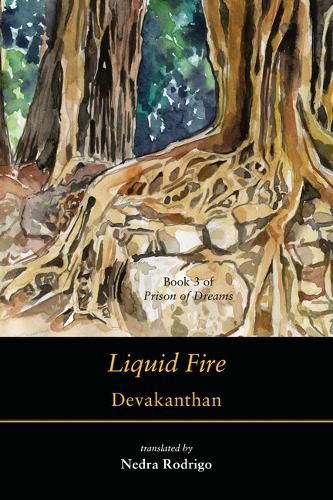 Cover image for Liquid Fire