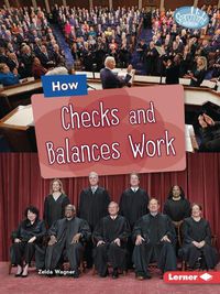 Cover image for How Checks and Balances Work