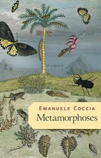 Cover image for Metamorphoses