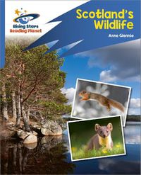 Cover image for Reading Planet: Rocket Phonics - Target Practice - Scotland's Wildlife - Blue