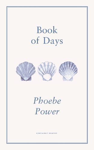 Cover image for Book of Days