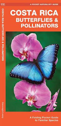 Cover image for Costa Rica Butterflies & Pollinators: A Folding Pocket Guide to Familiar Species