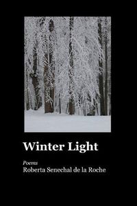 Cover image for Winter Light