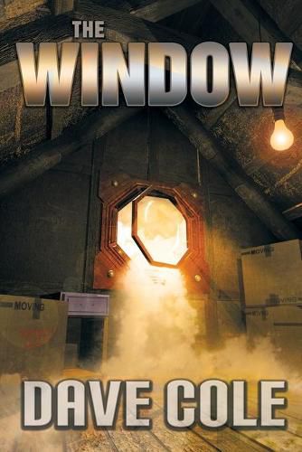 Cover image for The Window