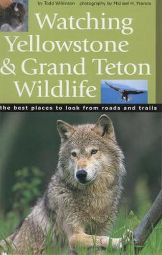 Cover image for Watching Yellowstone & Grand Teton Wildlife