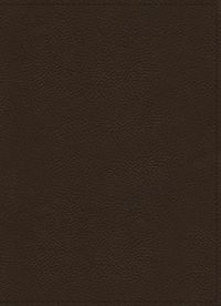 Cover image for NKJV, Wiersbe Study Bible, Genuine Leather, Brown, Red Letter, Comfort Print: Be Transformed by the Power of God's Word