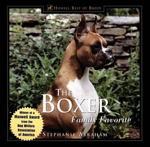 Cover image for The Boxer: Family Favourite