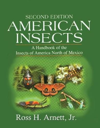 Cover image for American Insects: A Handbook of the Insects of America North of Mexico, Second Edition