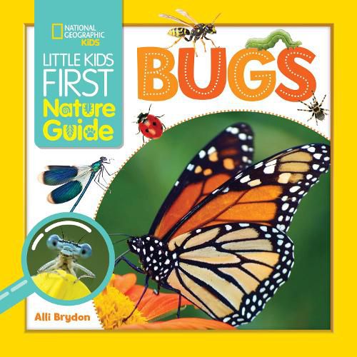 Cover image for Little Kids First Nature Guide Bugs