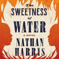 Cover image for The Sweetness of Water