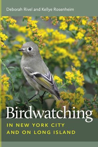 Cover image for Birdwatching in New York City and on Long Island