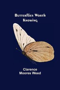 Cover image for Butterflies Worth Knowing