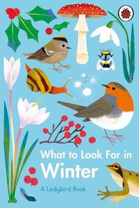 Cover image for What to Look For in Winter