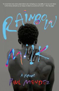 Cover image for Rainbow Milk: A Novel