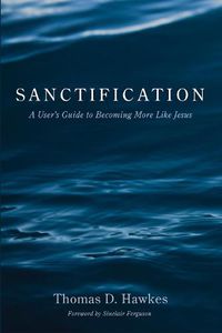 Cover image for Sanctification: A User's Guide to Becoming More Like Jesus