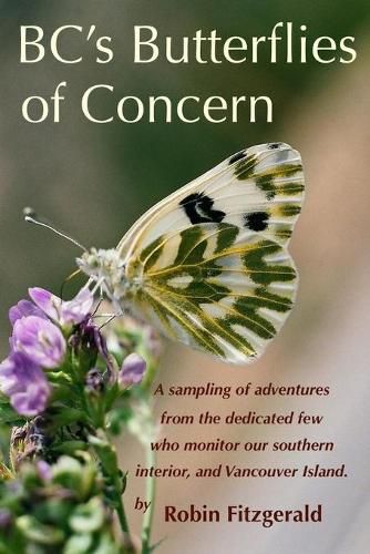 Cover image for BC's Butterflies of Concern