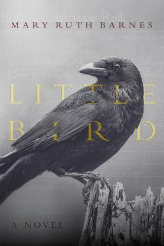 Cover image for Little Bird