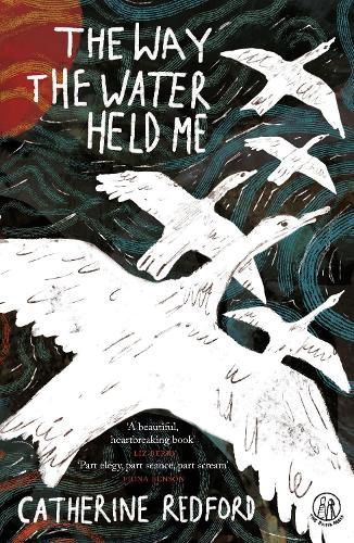 Cover image for The Way the Water Held Me