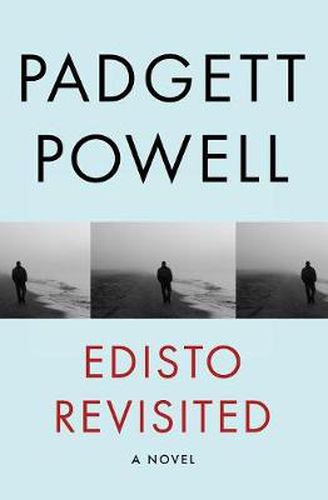 Cover image for Edisto Revisited: A Novel