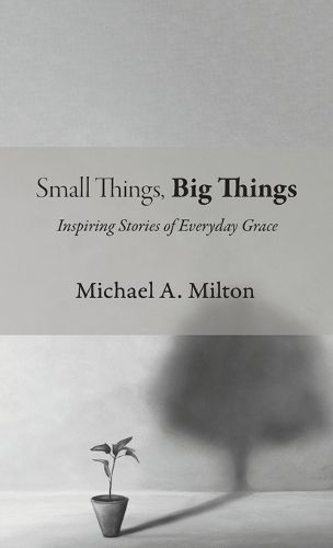 Cover image for Small Things, Big Things