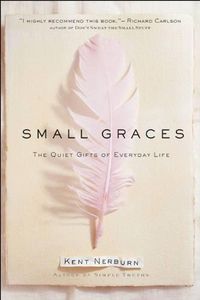 Cover image for Small Graces: The Quiet Gifts of Everyday Life