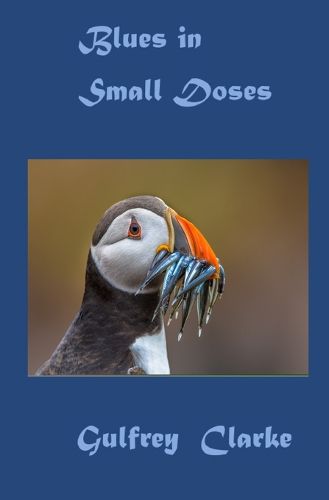 Cover image for Blues In Small Doses