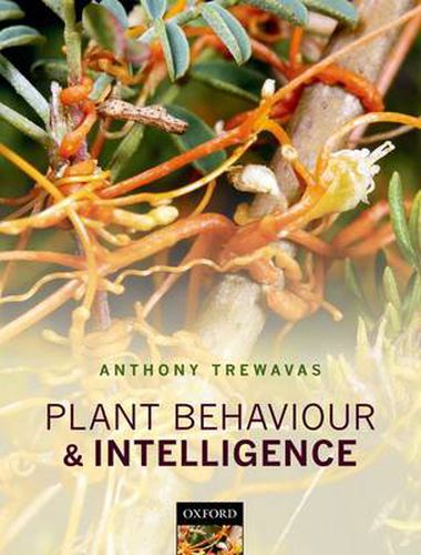 Cover image for Plant Behaviour and Intelligence