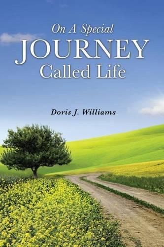 Cover image for On a Special Journey Called Life