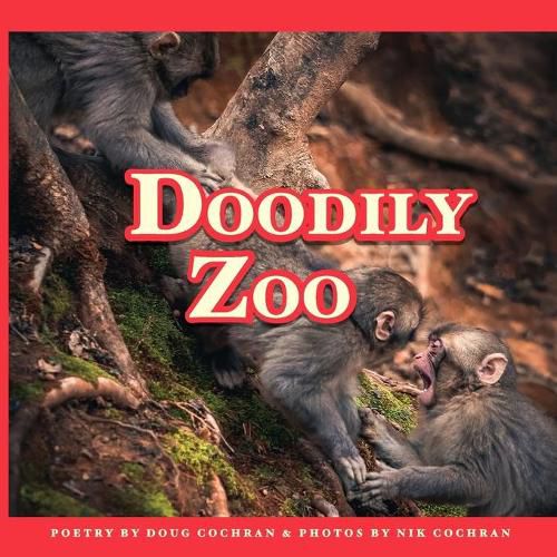 Cover image for Doodily Zoo