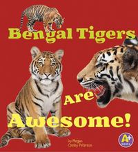 Cover image for Bengal Tigers are Awesome (Awesome Asian Animals)