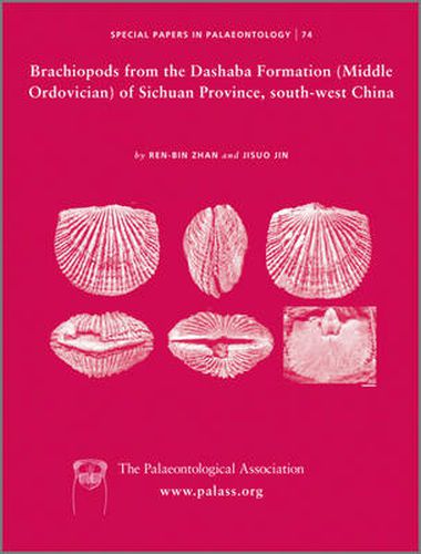 Cover image for Brachiopods from the Dashaba Formation (Middle Ordovician) of Sichuan Province, South-West China