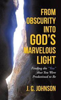 Cover image for From Obscurity into God's Marvelous Light: Finding the You that You Were Predestined to Be